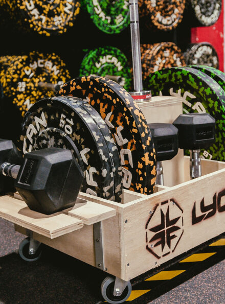 Dumbbell Plates