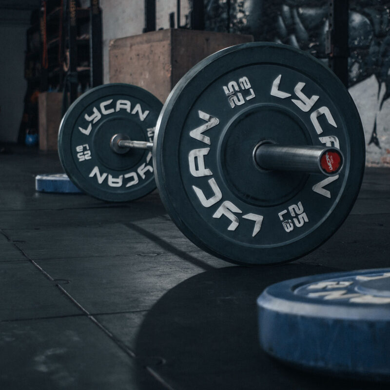 Rubber Bumper Plates